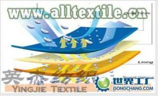 供應滌綸針織尼龍復合面料 尼龍針織尼龍復合面料_紡織、皮革_世界工廠網中國產品信息庫